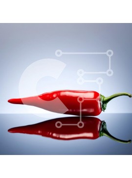 Σετ των 2 Intra Συλλεκτικό Ξύλινο Παζλ Plywood  4mm - Κόκκινο πιπέρι τσίλι σε ανακλαστική επιφάνεια Σε Ξύλινο Κουτί - Διαστάσεις: 10x10 cm – 25 κομμάτια