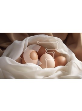 Σετ των 2 Intra Συλλεκτικό Ξύλινο Παζλ Plywood  4mm - Φωλιασμένα αυγά σε ύφασμα Σε Ξύλινο Κουτί - Διαστάσεις: 10x10 cm – 25 κομμάτια