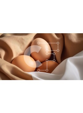 Σετ των 2 Intra Συλλεκτικό Ξύλινο Παζλ Plywood  4mm - Τρία αυγά σε ύφασμα Σε Ξύλινο Κουτί - Διαστάσεις: 10x10 cm – 25 κομμάτια