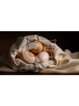 Σετ των 2 Intra Συλλεκτικό Ξύλινο Παζλ Plywood  4mm - Φωλιασμένα αυγά σε μαλακό ύφασμα Σε Ξύλινο Κουτί - Διαστάσεις: 10x10 cm – 25 κομμάτια