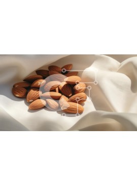 Σετ των 2 Intra Συλλεκτικό Ξύλινο Παζλ Plywood  4mm - Αμύγδαλα σε λευκό ύφασμα Σε Ξύλινο Κουτί - Διαστάσεις: 10x10 cm – 25 κομμάτια