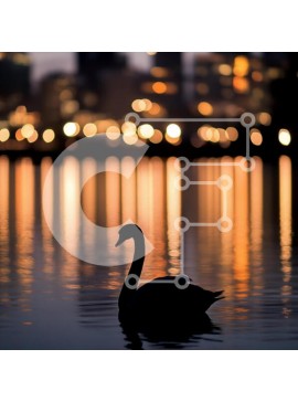 Intra Συλλεκτικό Ξύλινο Παζλ Plywood  4mm - Swan Silhouette στο σούρουπο με τα φώτα της πόλης Σε Ξύλινο Κουτί - Διαστάσεις: 10x10 cm – 25 κομμάτια