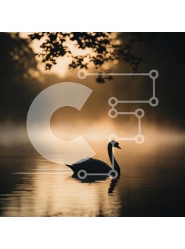 Intra Συλλεκτικό Ξύλινο Παζλ Plywood  4mm - Κύκνος σε μια ομιχλώδη λίμνη την αυγή Σε Ξύλινο Κουτί - Διαστάσεις: 10x10 cm – 25 κομμάτια