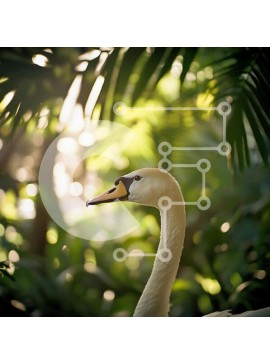 Intra Συλλεκτικό Ξύλινο Παζλ Plywood  4mm - Κομψός κύκνος στο καταπράσινο τοπίο Σε Ξύλινο Κουτί - Διαστάσεις: 10x10 cm – 25 κομμάτια