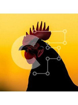 Intra Συλλεκτικό Ξύλινο Παζλ Plywood  4mm - Σιλουέτα ενός κόκορα σε κίτρινο φόντο Σε Ξύλινο Κουτί - Διαστάσεις: 10x10 cm – 25 κομμάτια