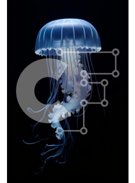 Σετ των 2 Intra Συλλεκτικό Ξύλινο Παζλ Plywood  4mm - Ημιδιάφανη μέδουσα στα σκοτεινά νερά Σε Ξύλινο Κουτί - Διαστάσεις: 10x10 cm – 25 κομμάτια