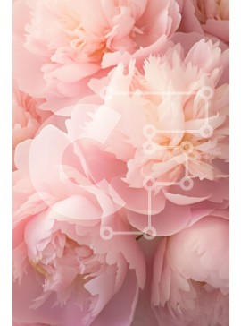 Intra Συλλεκτικό Ξύλινο Παζλ Plywood  4mm - Λεπτές ροζ παιώνιες σε πλήρη άνθιση Σε Ξύλινο Κουτί - Διαστάσεις Puzzle: 10x10 cm – 25 κομμάτια