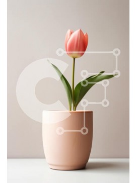 Σετ των 2 Intra Συλλεκτικό Ξύλινο Παζλ Plywood  4mm - Ροζ τουλίπα σε μοντέρνο δοχείο Σε Ξύλινο Κουτί - Διαστάσεις: 10x10 cm – 25 κομμάτια