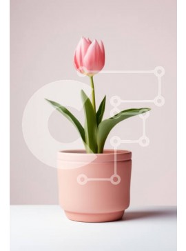 Σετ των 2 Intra Συλλεκτικό Ξύλινο Παζλ Plywood  4mm - Μονή ροζ τουλίπα σε ροζ γλάστρα Σε Ξύλινο Κουτί - Διαστάσεις: 10x10 cm – 25 κομμάτια