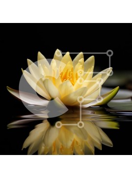 Intra Συλλεκτικό Ξύλινο Παζλ Plywood  4mm - Κίτρινο νούφαρο στην ήρεμη λίμνη Σε Ξύλινο Κουτί - Διαστάσεις: 10x10 cm – 25 κομμάτια