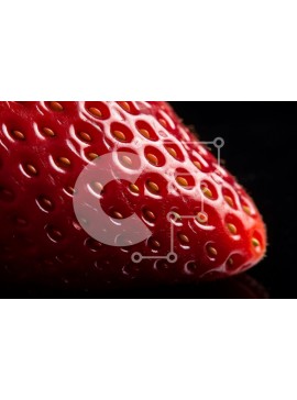 Σετ των 2 Intra Συλλεκτικό Ξύλινο Παζλ Plywood  4mm - Κοντινό πλάνο μιας φράουλας Σε Ξύλινο Κουτί - Διαστάσεις: 10x10 cm – 25 κομμάτια