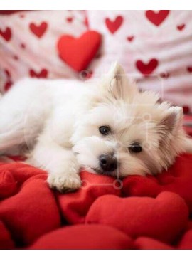 Σετ των 2 Intra Συλλεκτικό Ξύλινο Παζλ Plywood  4mm - Σκύλος του Αγίου Βαλεντίνου σε μαξιλάρια σε σχήμα καρδιάς Σε Ξύλινο Κουτί - Διαστάσεις: 10x10 cm – 25 κομμάτια