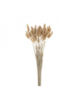 Artekko Pampass Μπουκέτο με Μπεζ Πάμπας (20x20x45)cm Artekko 411878-NATU-AB
