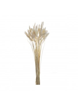 Artekko Pampass Μπουκέτο με Λευκό Πάμπας (20x20x45)cm Artekko 411878-WHIT-AB