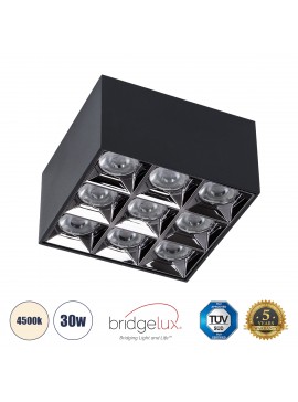 60336 GloboStar® GLOBOSTAR® LUMINAR 60336 Downlight Σποτ LED 30W 4200lm 36° AC 220-240V IP20 Φυσικό Λευκό 4500K - Bridgelux COB Chip & TÜV SÜD Driver - Μαύρο Ματ - Μ12 x Π12 x Υ6.6cm - 5 Χρόνια Εγγύηση