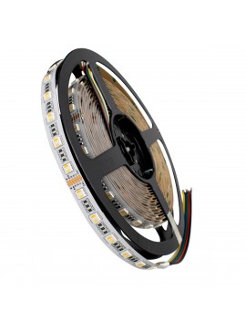 70265 GloboStar®  70265 Ταινία LED SMD 5050 RGBW + WW 5in1 5m 20.4W/m 60LED/m 120° DC 24V IP20 1150lm/m Ψυχρό Λευκό 6000K & 1050lm/m Θερμό Λευκό 3000K & 900lm/m RGB