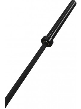 AMILA ΜΠΑΡΑ ΒΑΡΩΝ 50MM 220CM 20KG 29MM 1500LBS ΚΕΡΑΜΙΚΗ 8 ΡΟΥΛΕΜΑΝ ELDICO80049