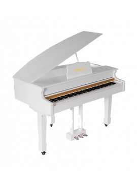 FUJIA  Πίανο  Ψηφιακό Πιάνο 890 Black White   DP-24BL890-WE 
