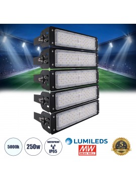 90100-5 GloboStar® GLOBOSTAR® GOLIATH 90100-5 Προβολέας Γηπέδου LED 250W 40000lm SDCM<5 75°*135° Fish Eye Lens AC 100-277V Αδιάβροχο IP65 IK08 Ψυχρό Λευκό 5000K - LUMILEDs SMD Chip & MEANWELL Driver - Μαύρο Χυτό Αλουμίνιο - Μ32 x Π12 x Υ45cm - 5 Χρόνια Εγ