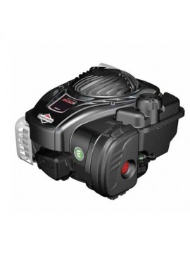 Βενζινοκινητήρας 500 SERIE Briggs & Stratton OHV Κάθετος Φ 22.2 KIDO-
5010T5020139