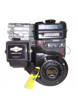 Bενζινοκινητήρας Οριζοντίου Αξονα 9,0 VANGUARD Briggs&Stratton MIZA KIDO-
5020H1370119