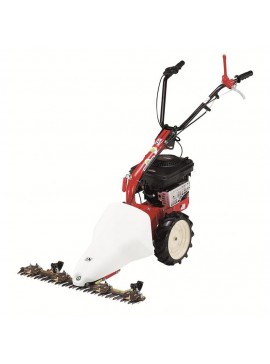 EUROSYSTEMS Χορτοκοπτικό EUROSYSTEMS BILAMA M210 Briggs n' Stratton katsar-965164600