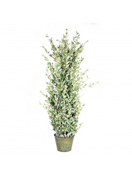 Supergreens Τεχνητό Φυτό Silverberry 183 εκ.Χρώμα Πράσινο Mήκος  Πλάτος 55 Υψος 182 SUPER-1320-6