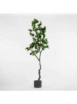 Supergreens Τεχνητό Δέντρο Πορτοκαλιά 210 εκ.Χρώμα Πράσινο Mήκος  Πλάτος 90 Υψος 210 SUPER-4340-6