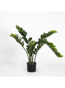 Supergreens Τεχνητό Φυτό Ζάμια 80 εκ.Χρώμα Πράσινο Mήκος  Πλάτος 60 Υψος 80 SUPER-5450-6