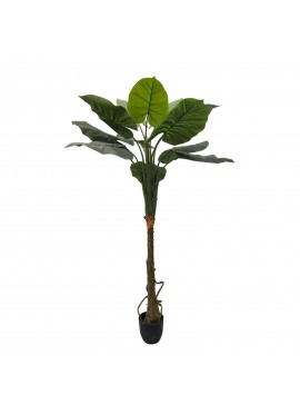 Supergreens Τεχνητό Δέντρο Αλοκάσια 150 εκ.Χρώμα Πράσινο Mήκος 60 Πλάτος 60 Υψος 150 SUPER-4760-6