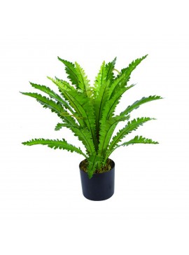 Supergreens Τεχνητό Φυτό Ασπλήνιο Antiquum 50 εκ.Χρώμα Πράσινο Mήκος 50 Πλάτος 50 Υψος 50 SUPER-9860-6