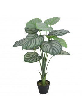 Supergreens Τεχνητό Φυτό Καλαθέα Setosa 85 εκ.Χρώμα Πράσινο Mήκος  Πλάτος 28 Υψος 85 SUPER-4070-6
