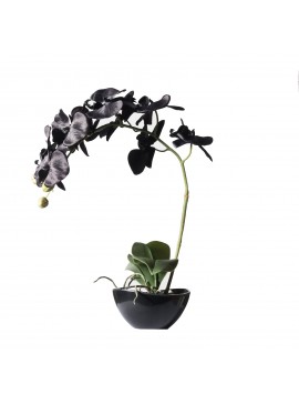 Supergreens Τεχνητό Φυτό Ορχιδέα Phalaenopsis Real Touch Μαύρη με Κασπώ 48 εκ.Χρώμα Μαύρο Mήκος 24 Πλάτος 15 Υψος 47 SUPER-1170-6
