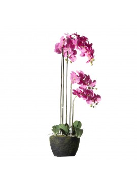 Supergreens Τεχνητό Φυτό Ορχιδέα Phalaenopsis Real Touch Φούξια με Βάση Moss 110 εκ.Χρώμα Φούξια Mήκος 44 Πλάτος 44 Υψος 110 SUPER-7170-6