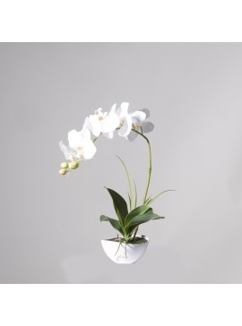 Supergreens Τεχνητό Φυτό Ορχιδέα Phalaenopsis Real Touch Λευκή με Κασπώ 50 εκ.Χρώμα Λευκό Mήκος 31 Πλάτος 15 Υψος 50 SUPER-8170-6