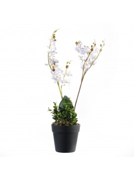 Supergreens Τεχνητό Φυτό Ορχιδέα Phalaenopsis 50 εκ.Χρώμα Λευκό Mήκος  Πλάτος 27 Υψος 50 SUPER-2670-6