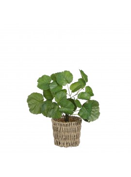 Supergreens Τεχνητό Φυτό Γεράνι 33 εκ.Χρώμα Πράσινο Mήκος 12 Πλάτος 12 Υψος 33 SUPER-8670-6