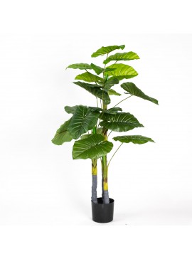 Supergreens Τεχνητό Δέντρο Αλοκάσια 120 εκ.Χρώμα Πράσινο Mήκος  Πλάτος  Υψος 120 SUPER-5970-6