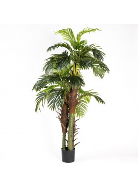Supergreens Τεχνητό Δέντρο Φοίνικας Coconut 200 εκ.Χρώμα Πράσινο Mήκος  Πλάτος  Υψος 200 SUPER-9970-6