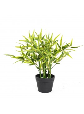 Supergreens Τεχνητό Φυτό Μπαμπού 50 εκ.Χρώμα Πράσινο Mήκος  Πλάτος 50 Υψος 50 SUPER-7880-6