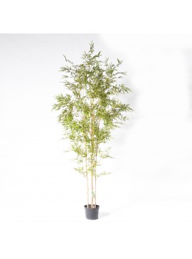 Supergreens Τεχνητό Δέντρο Μπαμπού Lucky 250 εκ.Χρώμα Πράσινο Mήκος  Πλάτος  Υψος 250 SUPER-9090-6
