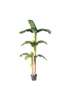 Supergreens Τεχνητό Δέντρο Μπανανιά 200 εκ.Χρώμα Πράσινο Mήκος  Πλάτος  Υψος 200 SUPER-0190-6