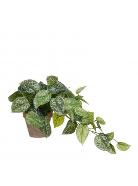 Supergreens Τεχνητό Φυτό Πόθος Scindapsus 44 εκ.Χρώμα Πράσινο Mήκος 17 Πλάτος 17 Υψος 44 SUPER-2290-6