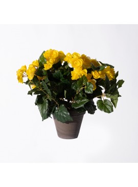Supergreens Τεχνητό Φυτό Μπιγκόνια Κίτρινο 37 εκ.Χρώμα Κίτρινο Mήκος 36 Πλάτος 36 Υψος 37 SUPER-6290-6