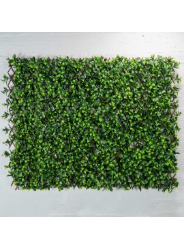Supergreens Τεχνητή Πτυσσόμενη Φυλλωσιά Φίκος 100Χ200 εκ.Χρώμα Πράσινο Mήκος 200 Πλάτος 100 Υψος 3 SUPER-5321-7