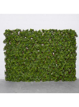 Supergreens Τεχνητή Πτυσσόμενη Φυλλωσιά Σεφλέρα PVC 100Χ200 εκ.Χρώμα Πράσινο Mήκος 200 Πλάτος 100 Υψος 8 SUPER-4231-7