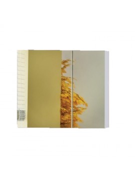 Καθρέφτης BELE 105 3MBE100WH0 WHITE 100x15x70cm  3MBE100WH0