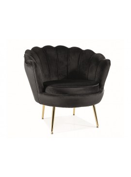 FOTEL CAMELLIA 1 VELVET CZARNY BLUVEL 19/ZŁOTY DIOMMI-80-3251