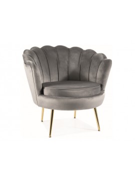 FOTEL CAMELLIA 1 VELVET SZARY BLUVEL 14/ZŁOTY DIOMMI-80-3210