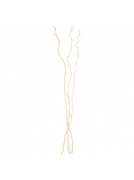 ΔΙΑΚΟΣΜΗΤΙΚΟ ΜΠΟΥΚΕΤΟ HM7967 3ΤΜΧ ΑΠΟΞΗΡΑΜΕΝΩΝ ΚΛΑΔΙΩΝ ΛΕΥΚΗΣ ΜΟΥΡΙΑΣ ΕΚΡΟΥ 180Υεκ.